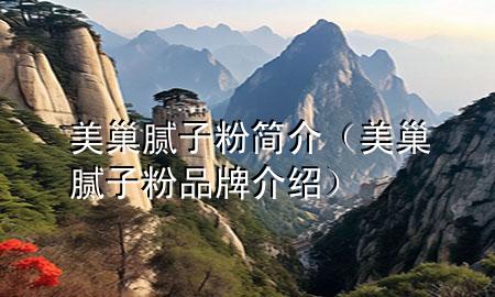 美巢膩子粉簡介（美巢膩子粉品牌介紹）