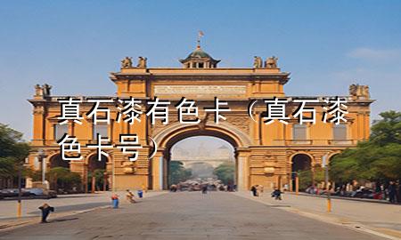 真石漆有色卡（真石漆色卡號）