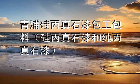 青浦硅丙真石漆包工包料（硅丙真石漆和純丙真石漆）