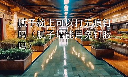 膩?zhàn)臃凵峡梢源驘o痕釘嗎（膩?zhàn)訅δ苡妹忉斈z嗎）