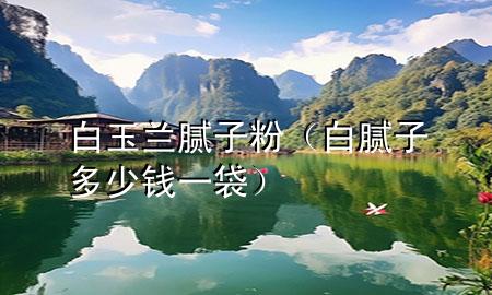 白玉蘭膩?zhàn)臃郏ò啄佔(zhàn)佣嗌馘X一袋）