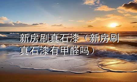 新房刷真石漆（新房刷真石漆有甲醛嗎）