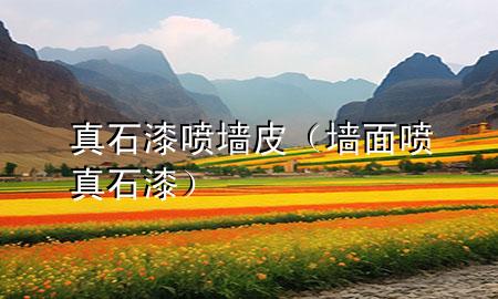 真石漆噴墻皮（墻面噴真石漆）