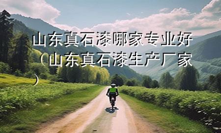 山東真石漆哪家專業(yè)好（山東真石漆生產(chǎn)廠家）