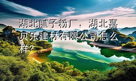 湖北膩?zhàn)臃蹚S，湖北嘉貝樂(lè)建材有限公司怎么樣?