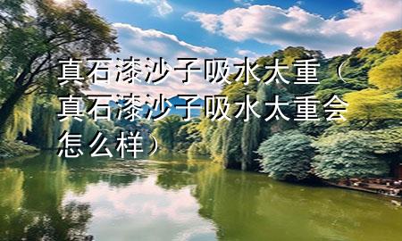 真石漆沙子吸水太重（真石漆沙子吸水太重會(huì)怎么樣）