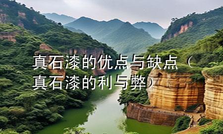 真石漆的優(yōu)點與缺點（真石漆的利與弊）