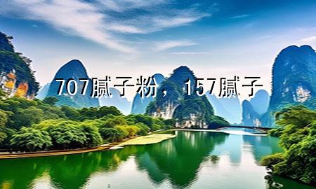 707膩子粉，157膩子