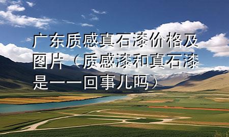 廣東質(zhì)感真石漆價格及圖片（質(zhì)感漆和真石漆是一一回事兒嗎）