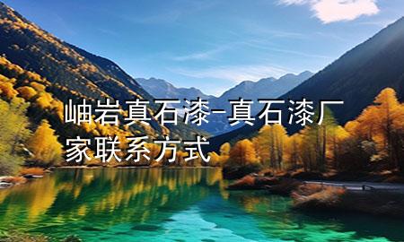 岫巖真石漆-真石漆廠家聯(lián)系方式