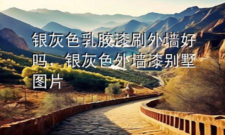 銀灰色乳膠漆刷外墻好嗎，銀灰色外墻漆別墅圖片