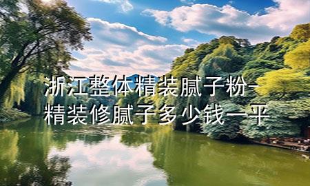 浙江整體精裝膩子粉-精裝修膩子多少錢一平