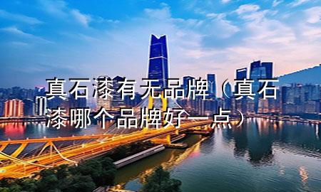 真石漆有無品牌（真石漆哪個品牌好一點）
