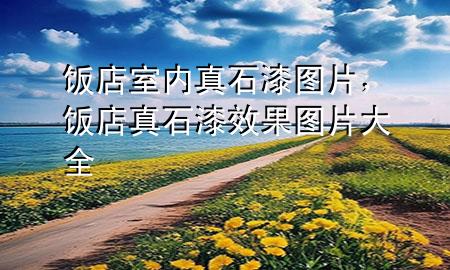 飯店室內真石漆圖片，飯店真石漆效果圖片大全