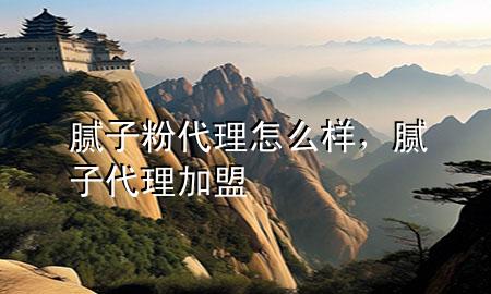 膩子粉代理怎么樣，膩子代理加盟