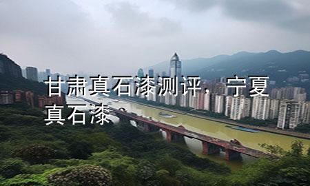 甘肅真石漆測(cè)評(píng)，寧夏真石漆