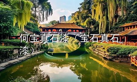 何寶真石漆（寶石真石漆）