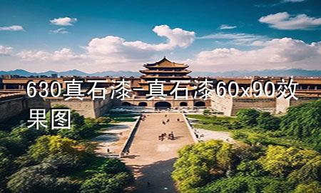 630真石漆-真石漆60x90效果圖