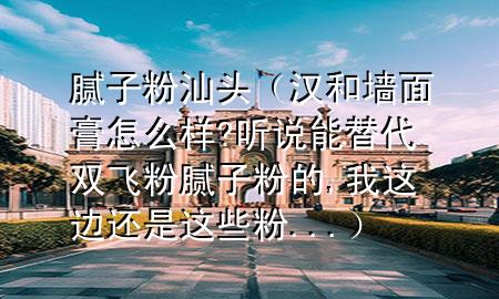 膩子粉汕頭（漢和墻面膏怎么樣?聽說能替代雙飛粉膩子粉的,我這邊還是這些粉...）