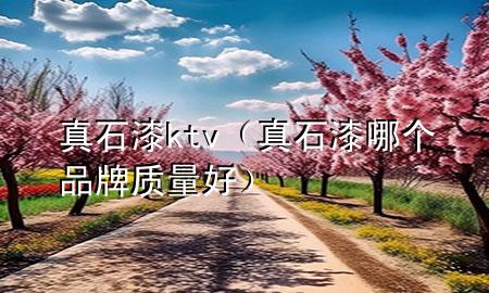 真石漆ktv（真石漆哪個(gè)品牌質(zhì)量好）