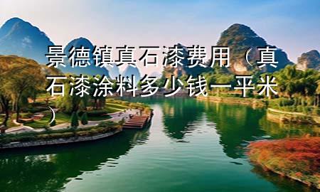 景德鎮(zhèn)真石漆費(fèi)用（真石漆涂料多少錢一平米）