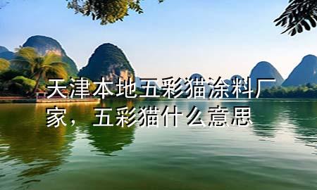 天津本地五彩貓涂料廠家，五彩貓什么意思