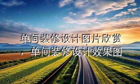 單間裝修設(shè)計(jì)圖片欣賞，單間裝修設(shè)計(jì)效果圖