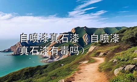 自噴漆真石漆（自噴漆真石漆有毒嗎）