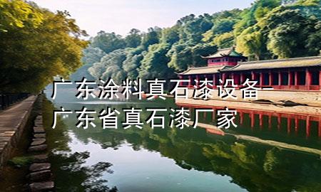 廣東涂料真石漆設(shè)備-廣東省真石漆廠家