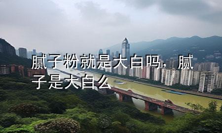 膩子粉就是大白嗎，膩子是大白么