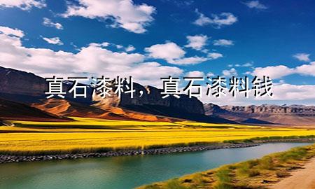 真石漆料，真石漆料錢