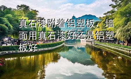 真石漆附著鋁塑板，墻面用真石漆好還是鋁塑板好
