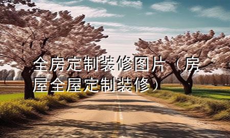 全房定制裝修圖片（房屋全屋定制裝修）