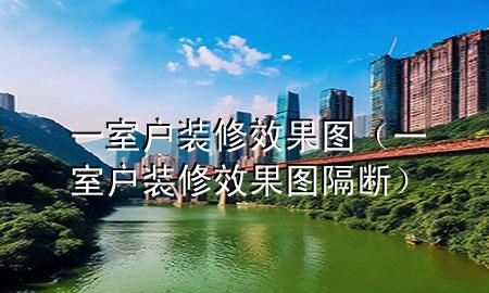 一室戶裝修效果圖（一室戶裝修效果圖隔斷）