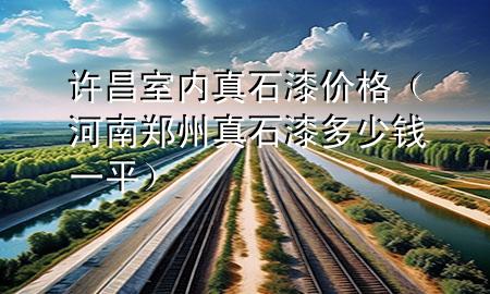 許昌室內(nèi)真石漆價(jià)格（河南鄭州真石漆多少錢(qián)一平）
