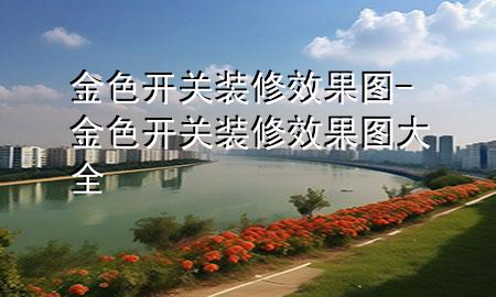 金色開關裝修效果圖-金色開關裝修效果圖大全