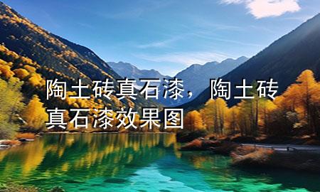 陶土磚真石漆，陶土磚真石漆效果圖