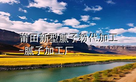 莆田新型膩子粉代加工-膩子加工廠