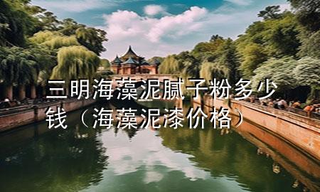 三明海藻泥膩?zhàn)臃鄱嗌馘X（海藻泥漆價格）