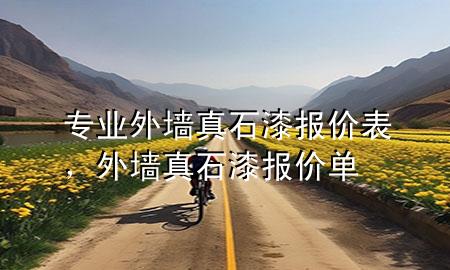 專業(yè)外墻真石漆報(bào)價(jià)表，外墻真石漆 報(bào)價(jià)單
