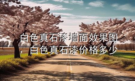 白色真石漆墻面效果圖，白色真石漆價(jià)格多少