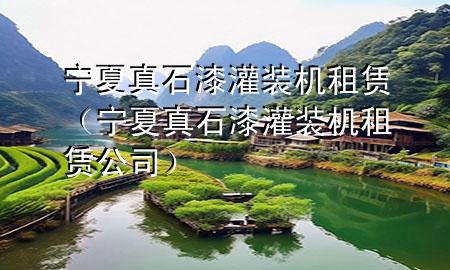 寧夏真石漆灌裝機(jī)租賃（寧夏真石漆灌裝機(jī)租賃公司）