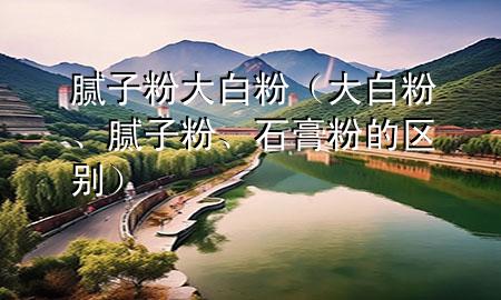 膩子粉 大白粉（大白粉、膩子粉、石膏粉的區(qū)別）