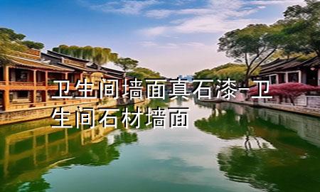 衛(wèi)生間墻面真石漆-衛(wèi)生間石材墻面