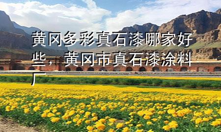黃岡多彩真石漆哪家好些，黃岡市真石漆涂料廠