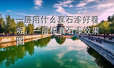 一層用什么真石漆好看呢，一層樓真石漆效果圖