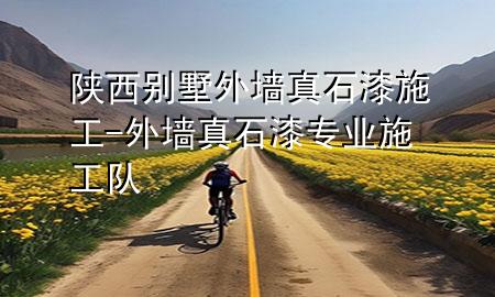 陜西別墅外墻真石漆施工-外墻真石漆專業(yè)施工隊(duì)