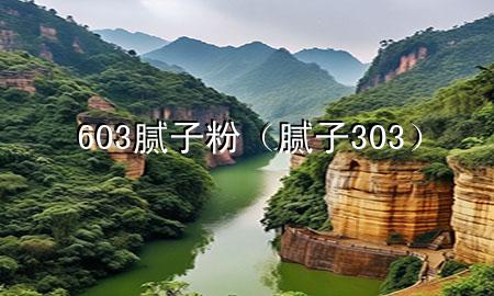 603膩子粉（膩子 303）