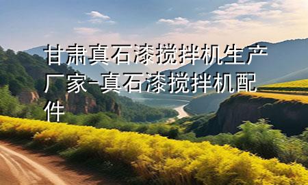 甘肅真石漆攪拌機生產(chǎn)廠家-真石漆攪拌機配件