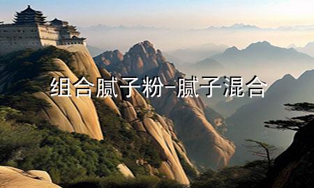 組合膩子粉-膩子混合